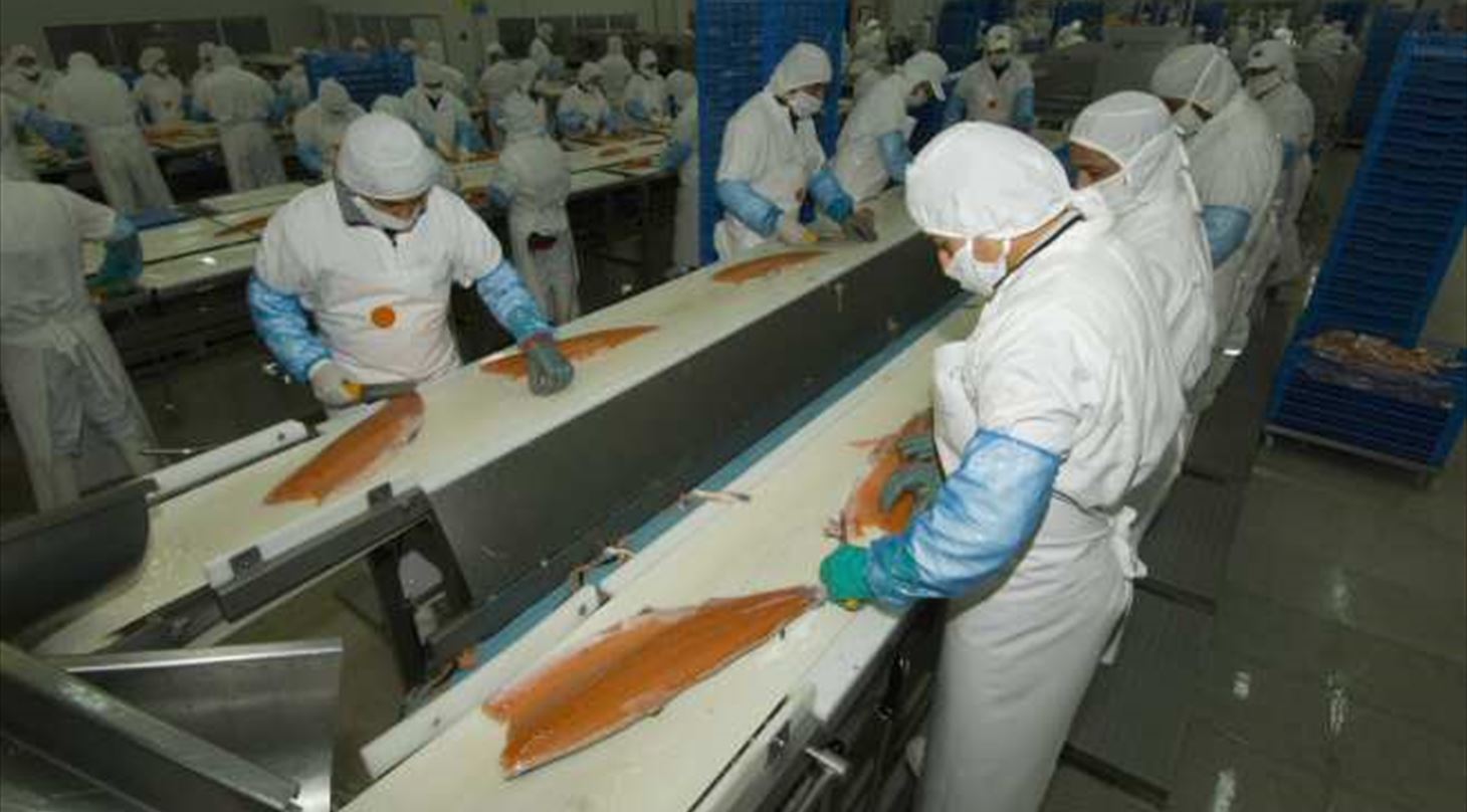 SeaFood Processing Efficiency and Yield Optimisation